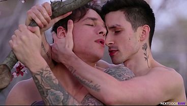 Curious Tattooed Stranger Has First Gay Fuck With Jock in Park