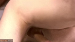BullDogXXX – Bareback fucking and tattooed guys