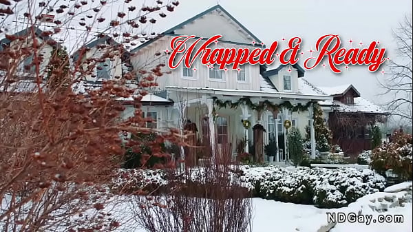 Gay Stepbrother Holiday Fuck – Festive Bareback