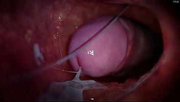 Hard Raw Sex with a Buddy in Every Position