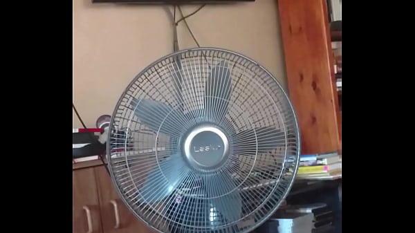 Peter North Pounds Taylor Wayne In Classic Raw Breeding