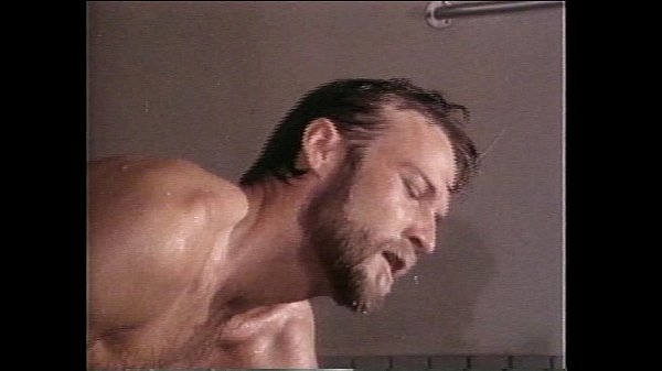 VCA Gay – Hung